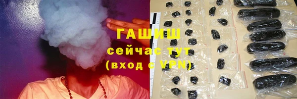 индика Михайлов