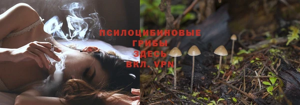 PSILOCYBIN Михайловск