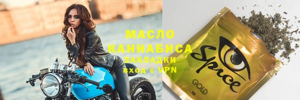 индика Михайлов