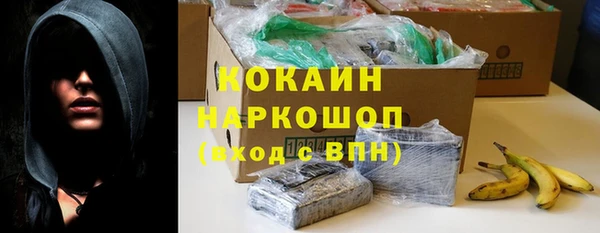 индика Михайлов