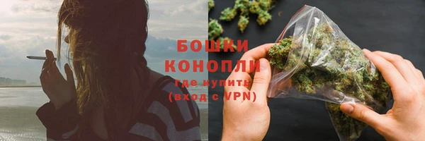 индика Михайлов