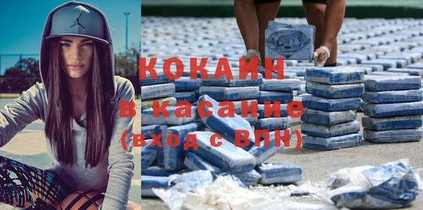 индика Михайлов