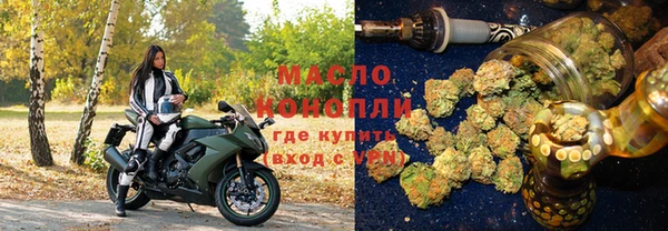 индика Михайлов