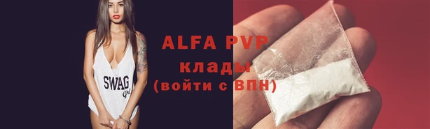 индика Михайлов