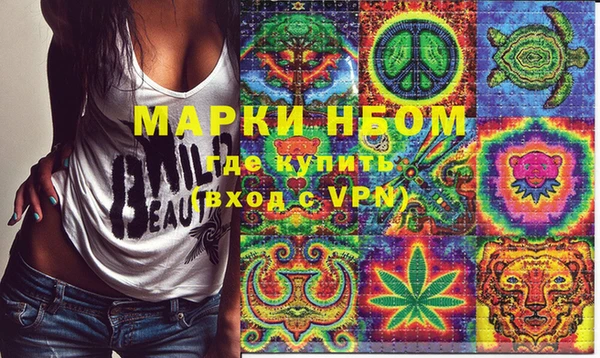 индика Михайлов