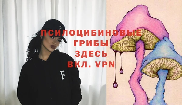 PSILOCYBIN Михайловск
